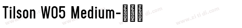 Tilson W05 Medium字体转换 Tilson W05 Medium字体转换